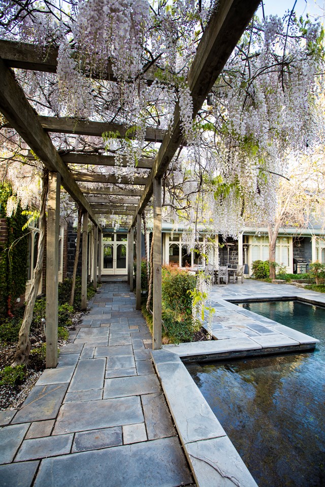 A walkway covered in wisteria links the front and back gardens of this [restored inner-city garden](https://www.homestolove.com.au/restored-inner-city-garden-becomes-country-style-sanctuary-6642|target="_blank"). A white Japanese variety of wisteria, Wisteria floribunda 'Alba', was chosen for its long tassels.