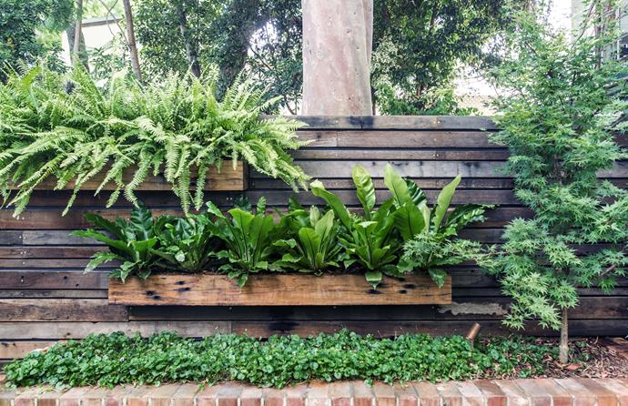 A vertical garden is the perfect way to utilise every inch of space in a compact garden.