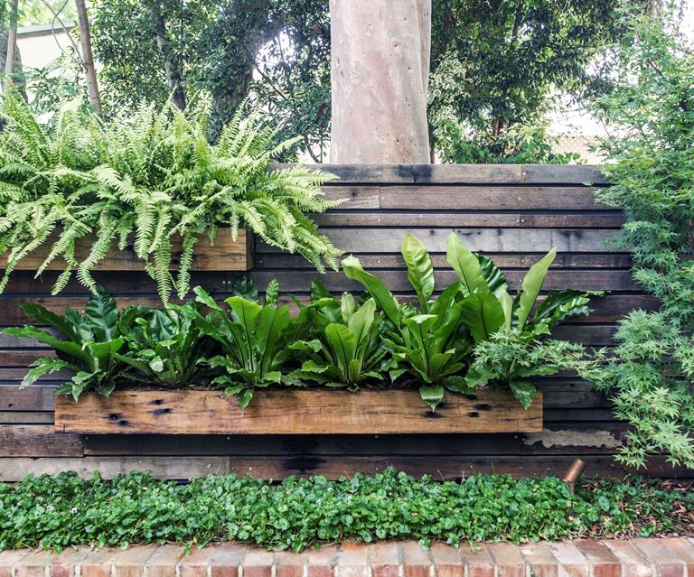25 Small Garden Design Ideas Australian House And Garden