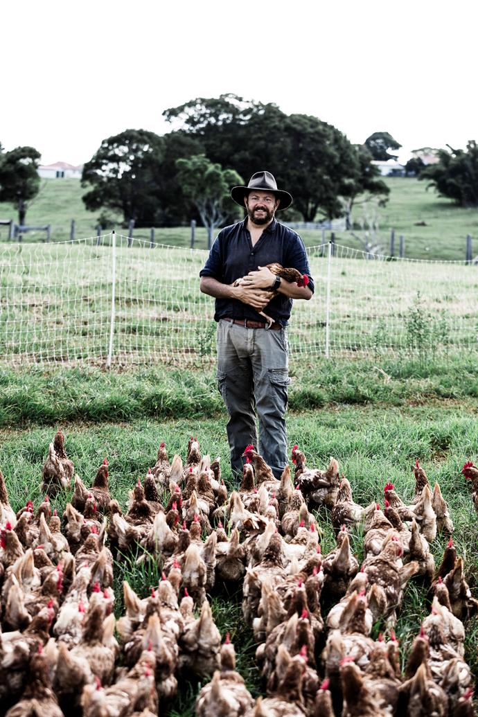 The Farm's healthy brood of Bond Brown chickens can strut where they please and dine on a diet of fresh grass and bugs.