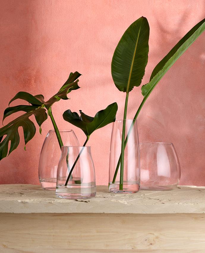 [HERITAGE only at Myer clear glass vases](https://www.myer.com.au/webapp/wcs/stores/servlet/SearchDisplay?searchTermScope=&searchType=1002&filterTerm=&orderBy=0&maxPrice=&showResultsPage=true&langId=-1&beginIndex=0&sType=SimpleSearch&metaData=&pageSize=12&manufacturer=&resultCatEntryType=&catalogId=10051&pageView=image&searchTerm=&facet=mfName_ntk_cs%253A%2522Heritage%2522&minPrice=&categoryId=18553&storeId=10251|target="_blank"|rel="nofollow"), from $14.95, will add an elegant touch.