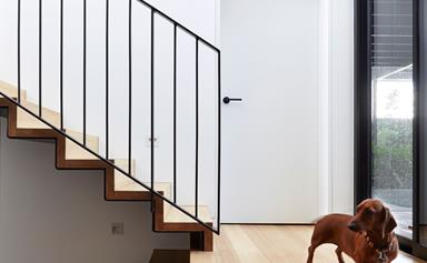 Architect-designed home with ramps for sausage dogs
