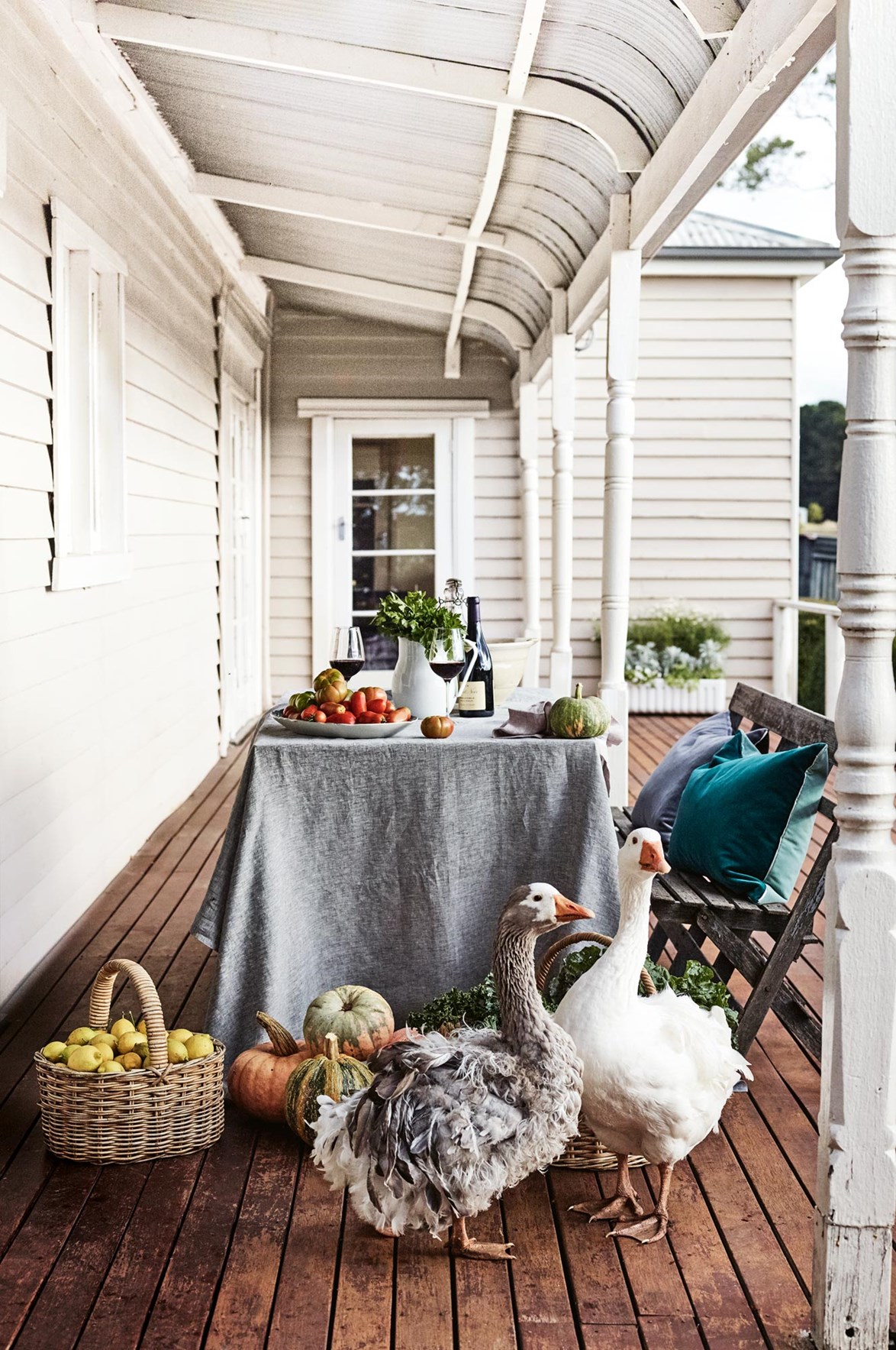 Sebastopol geese check out the autumn harvest laid out on the verandah of [chef Annie Smithers' farm house](https://www.homestolove.com.au/central-victoria-farm-garden-18818|target="_blank"). Much of the fresh fruit and vegetables will be used at her restaurant [Du Fermier](https://anniesmithers.com.au/|target="_blank"|rel="nofollow"), a 10-minute drive away. *Photo: Mark Roper / Stylist: Lee Blaylock*