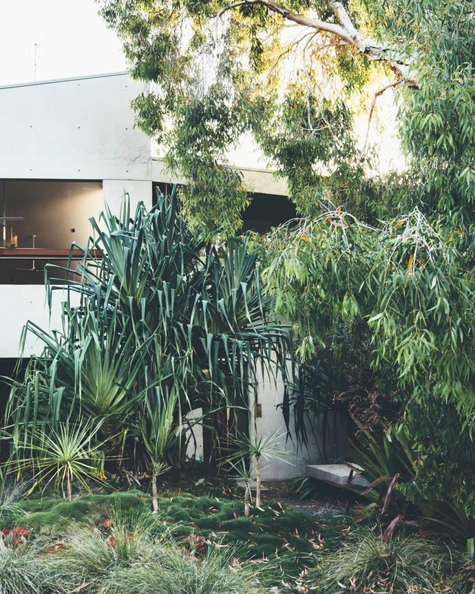 "The exterior natural grey concrete complements the surrounding subtropical rainforest and allows the house to blend in with the landscape," says David. | Photo: Teeland Architects/Jared Fowler