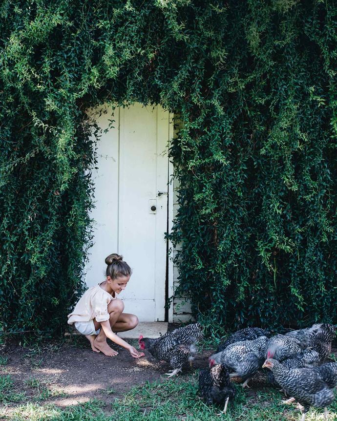 Lilla feeding some plymouth rock chickens outside the potting shed, which was originally a story. *Photography: Abbie Melle*