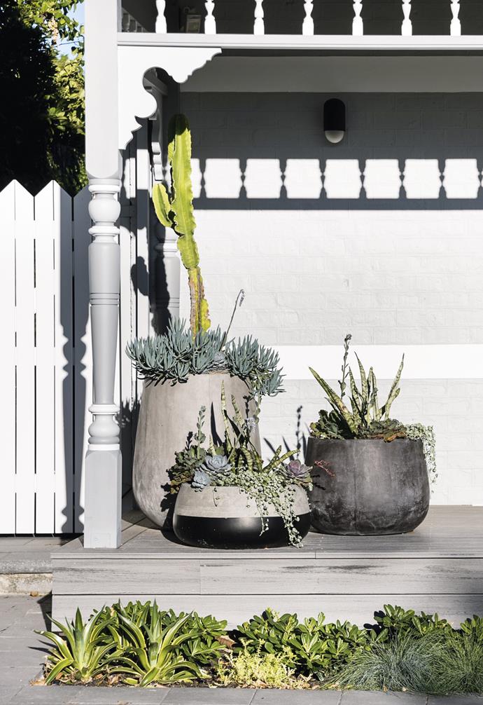 **Triple threat** When it comes to display, odd numbers always beat even. Three coordinated pots make for a layered combo in this space by Felicia Brady. Give your green thumb a workout with a mix of textural succulents. *Design: Felicia Brady of [Feon Design & Consult](http://www.feon.com.au.php7-27.phx1-1.websitetestlink.com/|target="_blank"|rel="nofollow") | Landscape architecture: Kelsie Davies of [LD Total](https://www.ldtotal.com.au/|target="_blank"|rel="nofollow") | Garden maintenance: Joel Bergen of [JB Landscaping](http://www.jbla.com.au/|target="_blank"|rel="nofollow") | Photography: Carla Atley.*