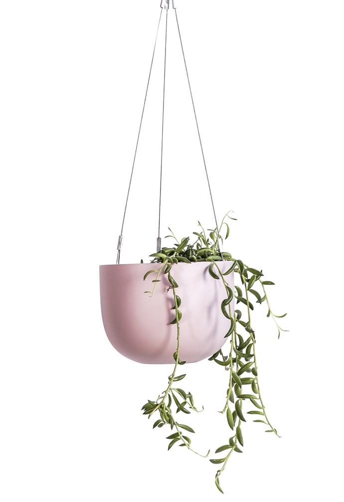 **Candy crush** Introduce a hint of colour with the 'Maggie' hanging planter, $40, [The Balcony Garden](https://www.thebalconygarden.com.au/|target="_blank"|rel="nofollow").