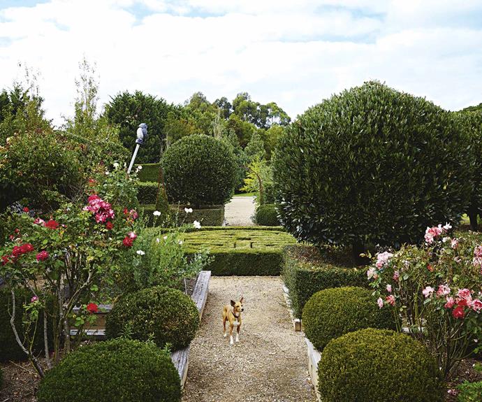 The impressive [formal garden](https://www.homestolove.com.au/the-5-elements-needed-to-create-a-formal-garden-1907|target="_blank") includes a central parterre surrounded by raised beds, topiary bay tress, roses and assorted herbs.
