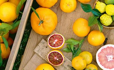 6 citrus fruit varieties you need to know about