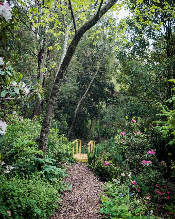 This vivid yellow-painted bridge defines the path weaving through the massed planting that has now formed a tapestry to complement the surrounding mountains bushland. | *Photography: Michael Wee*