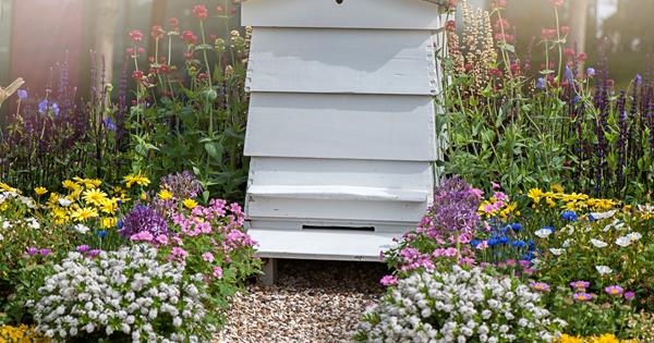 Adding A Bee Hive To Your Garden Homes To Love