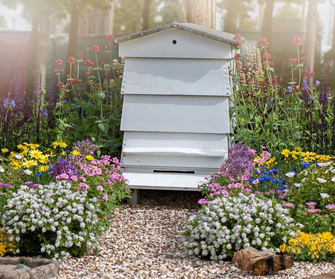 Bee hive surrounded by flowers