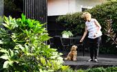 How to create a pet-friendly garden