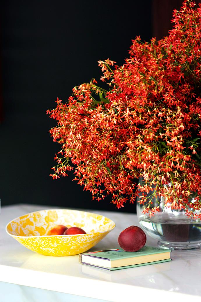 Having Christmas bush growing in your garden means you'll always have a festive centrepiece on hand. Photo: Maree Homer / *bauersyndication.com.au*