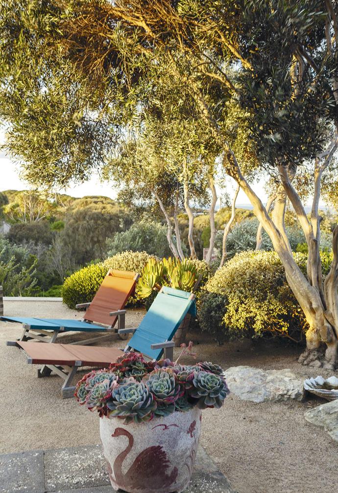**Relax** The sculptural forms of the olive trees and their high canopies grant a clear view to the water, while a concrete garden pot from the 1960s houses tinted succulents.