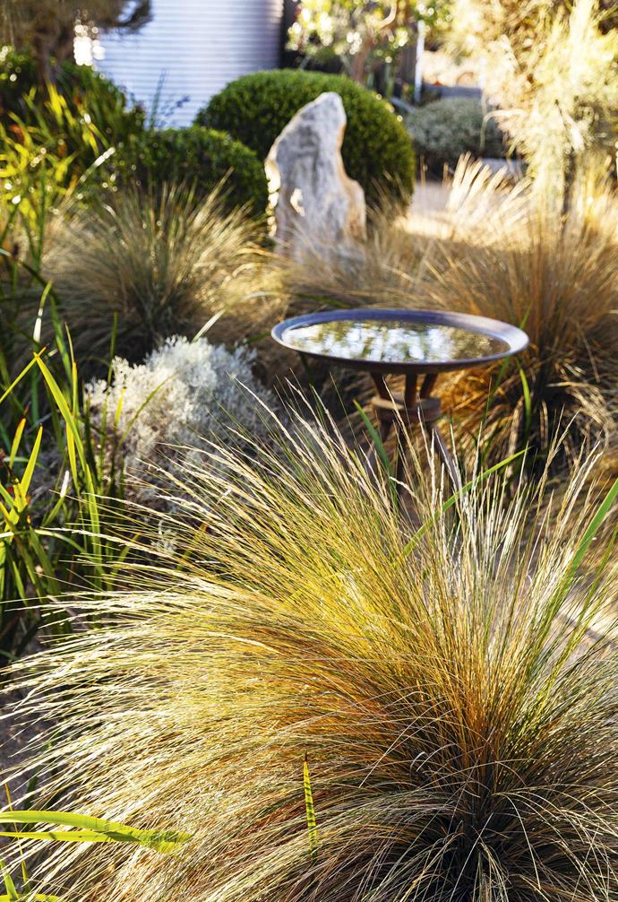 **Sanctuary** Copper water bowls placed throughout the garden attract birdlife.