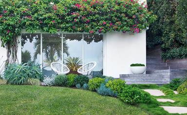 A coastal home's luscious front garden design