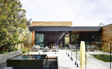 Native Indigenous plants thrive in this beachside home's coastal garden