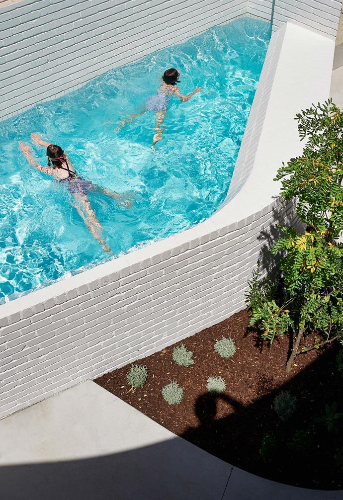In [this compact backyard](https://www.homestolove.com.au/small-space-pool-design-6461|target="_blank"), the pool design embraces the small space available. *Photography: Peter Bennetts / real living*.