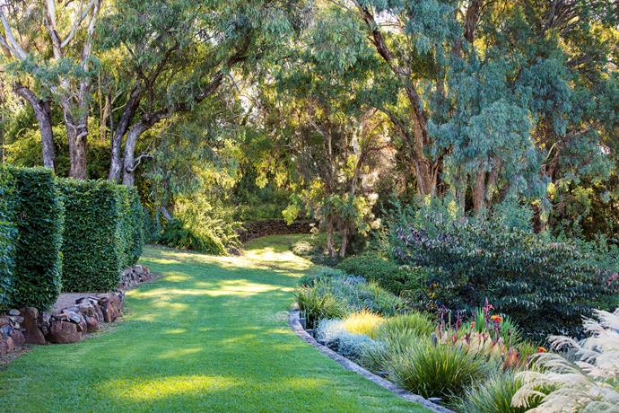 Century-old eucalyptus trees stand sentinel in the middle of the garden, where wide grass paths meander between thickly planted beds and hand-built Dry-stone walls.