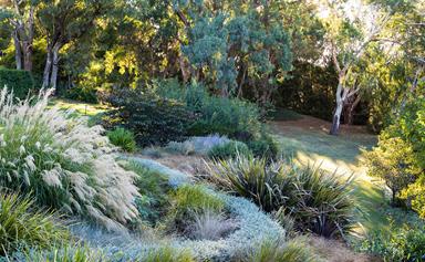 A spectacular garden in Orange, NSW