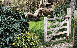 Wooden gate on country property