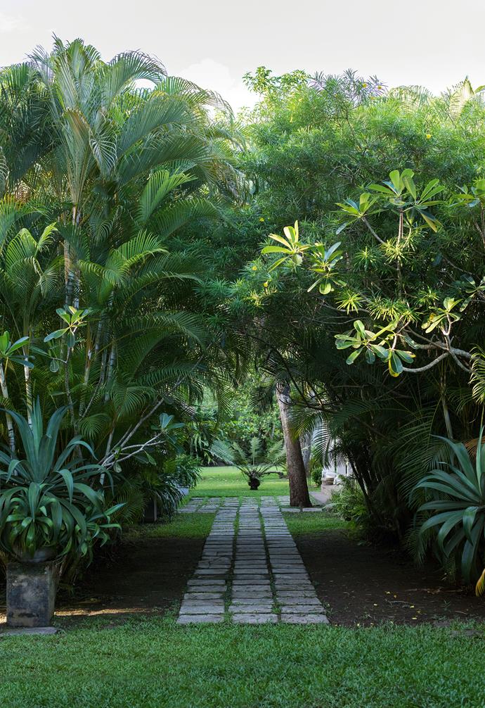 Tropical gardens are all about creating contrast. Here, a formal pathway of stepping stones is flanked by the unruly foliage of tall palms and other tropical plantings.