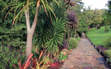 Tropical garden design: everything you need to know