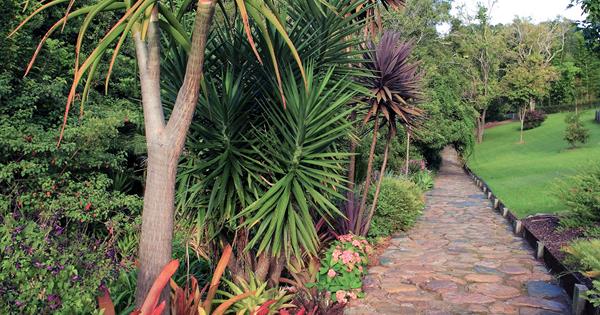 Tropical Garden Design Everything You Need To Know Homes To Love
