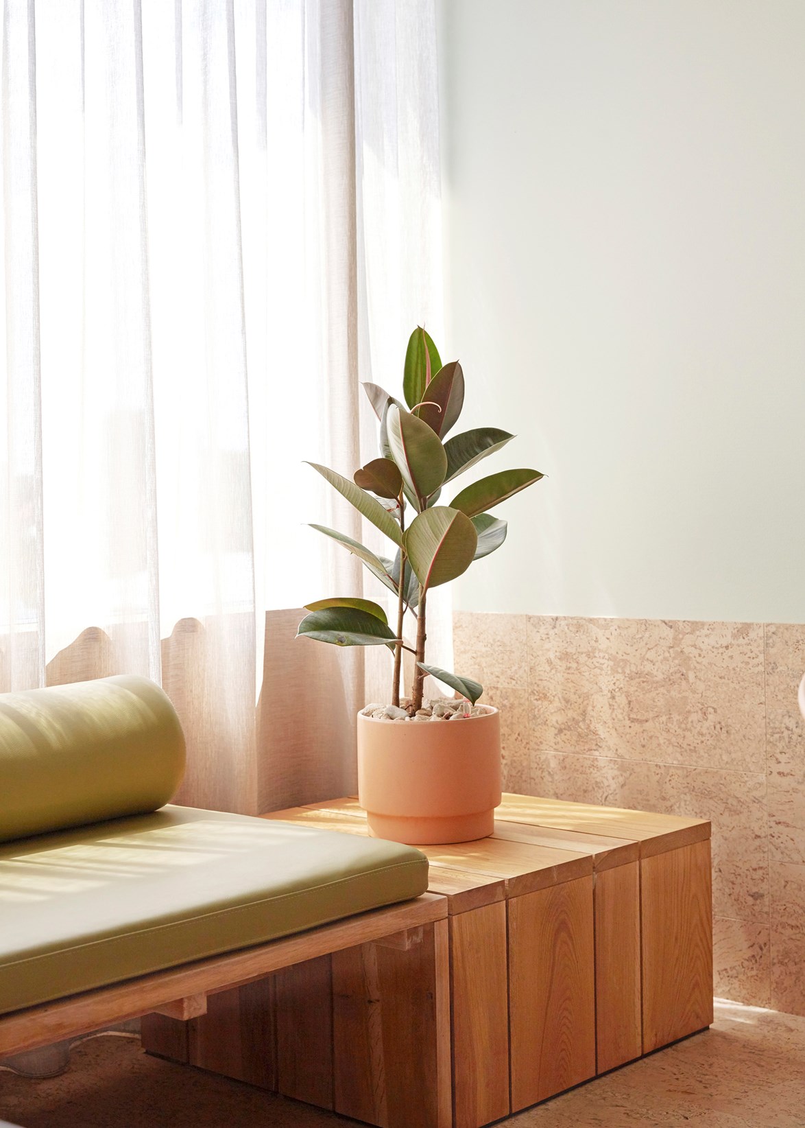 Indoor plants are an easy way to add some visual interest to your living areas.