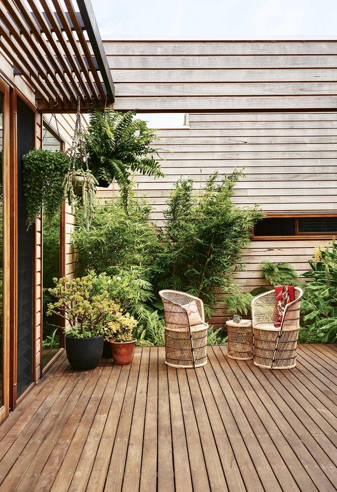 The home is anchored by four [decks](https://www.homestolove.com.au/balcony-and-deck-design-ideas-2458|target="_blank"), each positioned to make the most of the sunlight. "The decks open up the home to the outside and bring the green in," says Sarah. The silvertop ash decking and cladding have been finished with Cutek 'CD50' protective oil. This [entry garden](https://www.homestolove.com.au/enviable-entry-gardens-17367|target="_blank") features an abundance of greenery with clumping bamboo, Boston fern and tree ferns, as well as a hanging kangaroo fern and potted gardenia and jade plants. The cane [outdoor furniture](https://www.homestolove.com.au/how-to-style-outdoor-furniture-19607|target="_blank") was found on eBay. <br><br>**Tip**: Ensure timber cladding and decking is shielded from the elements with a protective coating.