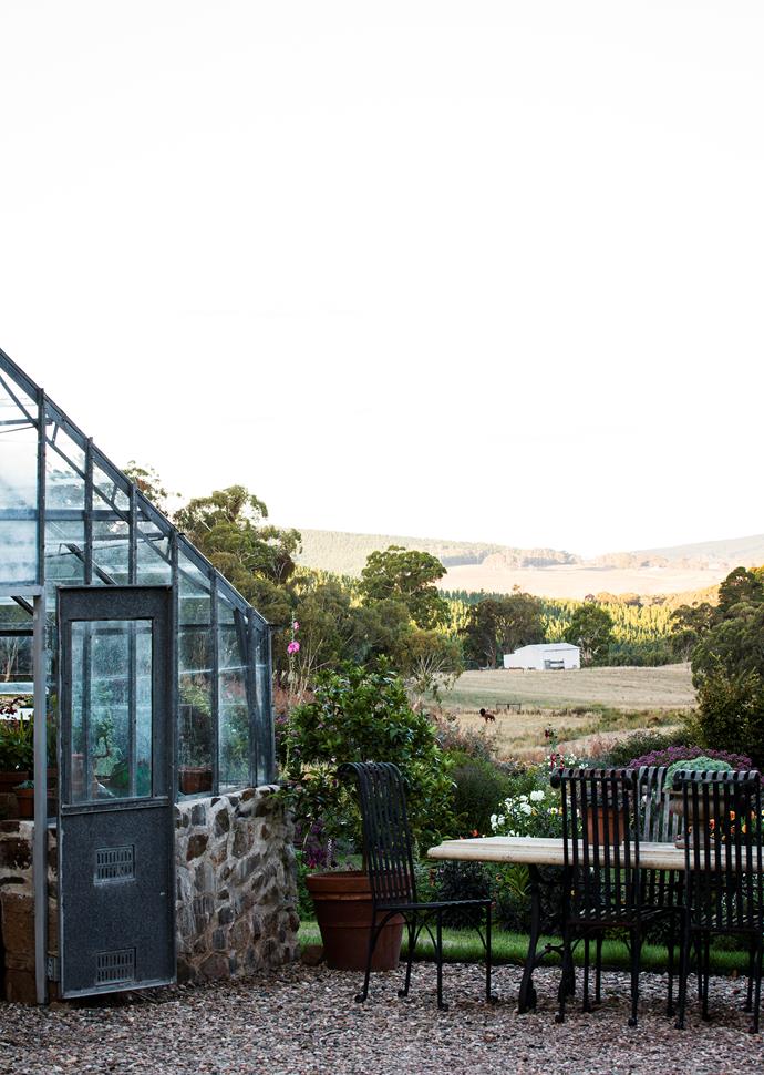 The glasshouse built by Andrew is a room with a view.
