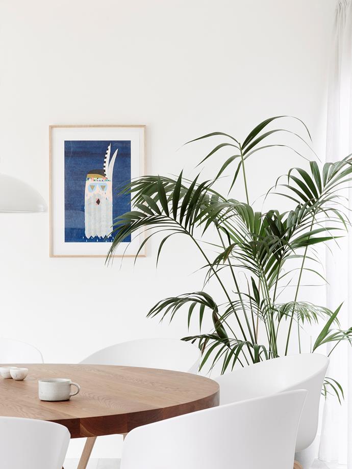 Bamboo palm (Chamaedorea seifrizii) is perfect for indoors as it grows well in low light conditions. They are also very good air purifiers. *Photo:* Eve Wilson / *bauersyndication.com.au*