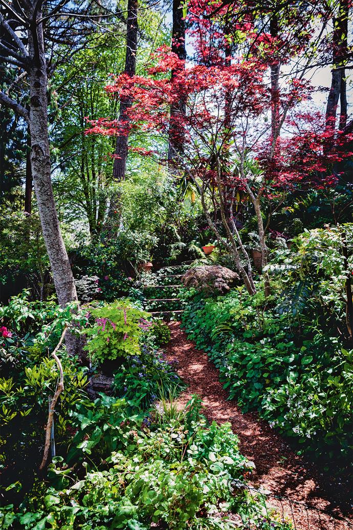 The garden descends into a series of terraces, and stepping-stone paths and stairs that have you crisscrossing the slope barely aware of the downhill pilgrimage. Although this is a traditional quarter-acre block, it feels far more spacious as the [side and rear boundaries](https://www.homestolove.com.au/understanding-easements-and-boundary-lines-16684|target="_blank") are blurred with plants. It's a clever trick that makes the garden seem to go on and on.