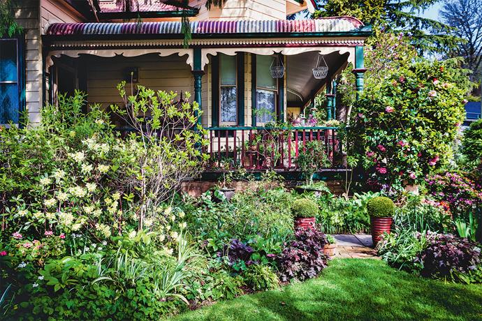 A mix of [formal plantings](https://www.homestolove.com.au/australian-formal-garden-13509|target="_blank") and lawn with layers of perennials and cool-climate shrubs.