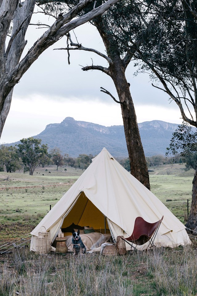 If you've had to cancel your annual Easter camping trip, why not set up camp in your own backyard? This beautiful bell tent on [Edwina Bartholomew's property near the Blue Mountains](https://www.homestolove.com.au/farm-cottage-blue-mountains-19902|target="_blank") has us dreaming of our very own glamping escape.