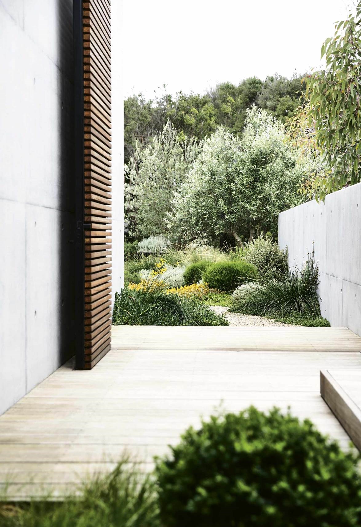 The entryway to this [Mornington Peninsula home](https://www.homestolove.com.au/coastal-native-garden-18599|target="_blank") features soft planting of native grasses and ground cover that stretches from the road, as well as three mature olive trees that were rescued from a local olive farm.