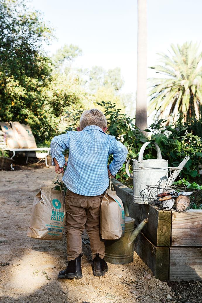 Three-year-old James Curry helps out in the vegetable garden of his family's farm — and headquarters of Major's Mulch, the Curry's mulch-and-compost business — near Quandialla in NSW.