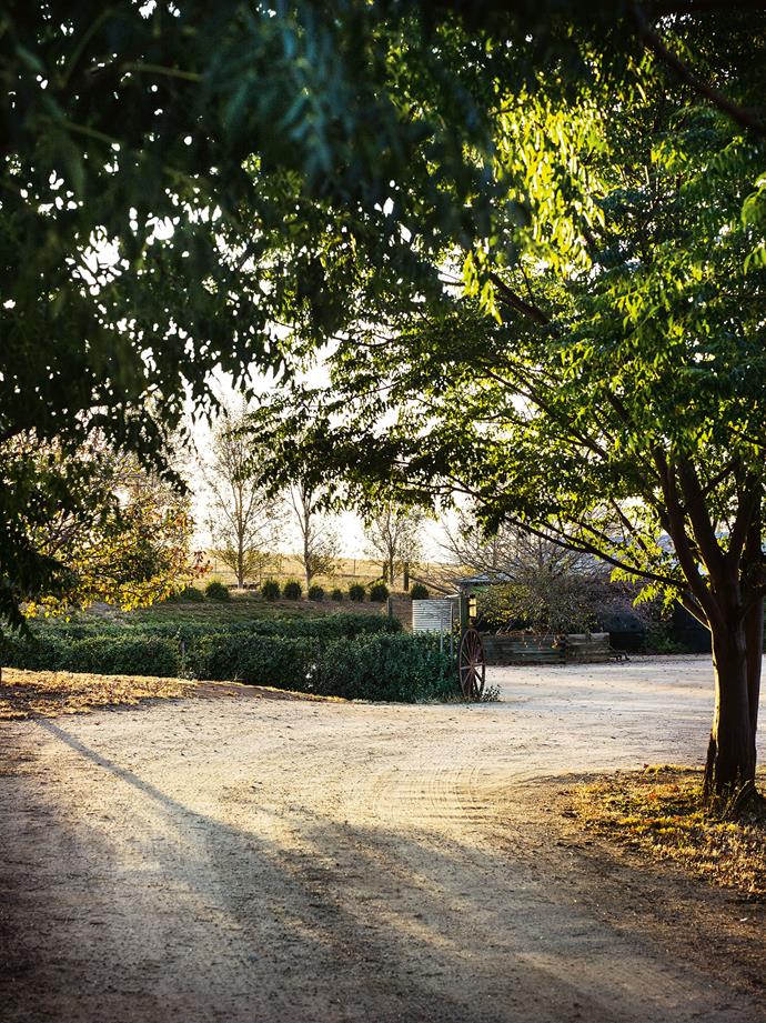 A sweeping gravel drive welcomes visitors and family.