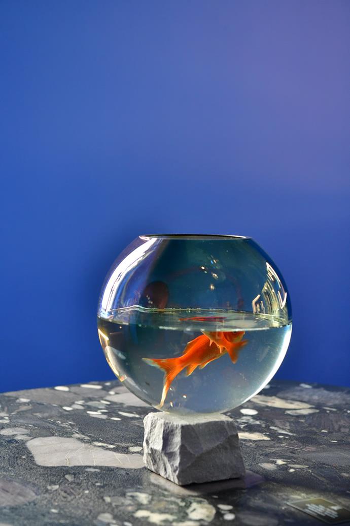 A chic fishbowl sits on a 'Fig' marble and mosaic granite table by Kunaal Kyhaan Seolekar.