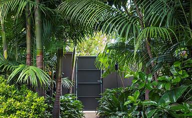 9 Australian tropical gardens