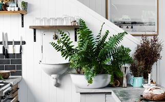 Enamel sink and basin used as a planter in a modern kitchen