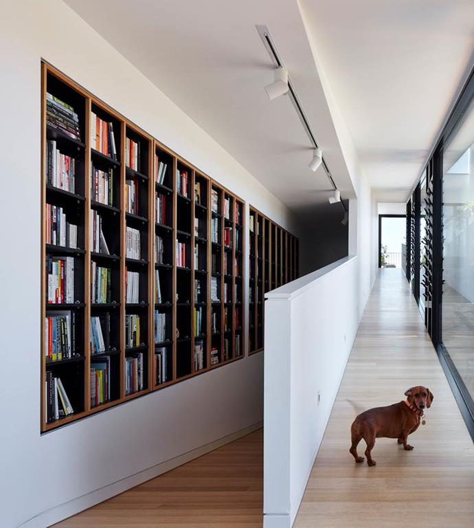 Audrey the Dachshund demonstrates one of the ramps that give her free rein of [the house](https://www.homestolove.com.au/architect-designed-home-adelaide-7087|target="_blank"). 

*Photograph: Supplied*