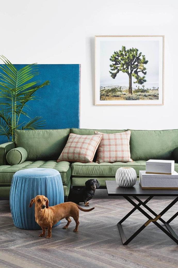 Penny & Roxy the Dachshunds meet mid-century modern. A pair of pint-sized sausage dogs matches a mix of [contemporary style](https://www.homestolove.com.au/contemporary-bathroom-design-ideas-18133|target="_blank") and [timeless mid-century appeal](https://www.homestolove.com.au/newly-built-home-with-classic-details-22410|target="_blank"). 

*Photograph: Brett Stevens | Stylist: Matt Page | Story: Inside Out*