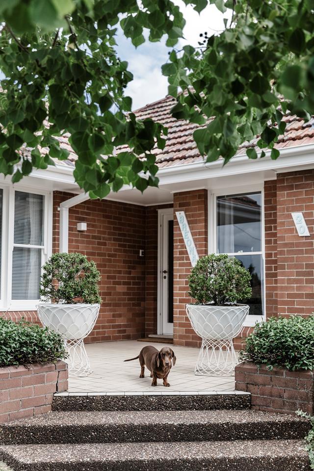 Mortimer stands proudly out front of his renovated [art deco-style home](https://www.homestolove.com.au/art-deco-style-honoured-in-renovation-of-newcastle-home-6661|target="_blank") in Newcastle. 

*Photograph: Maree Homer | Story: Australian House & Garden*