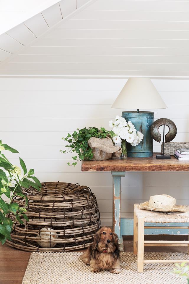 Guests love staying in this [country-inspired space](https://www.homestolove.com.au/country-kitchen-design-ideas-13266|target="_blank"), surrounded by curiosities and plants. Barnaby likes the sisal rug. 

*Photograph: Martina Gemmola | Styling: Kate Nixon | Story: Australian House & Garden*