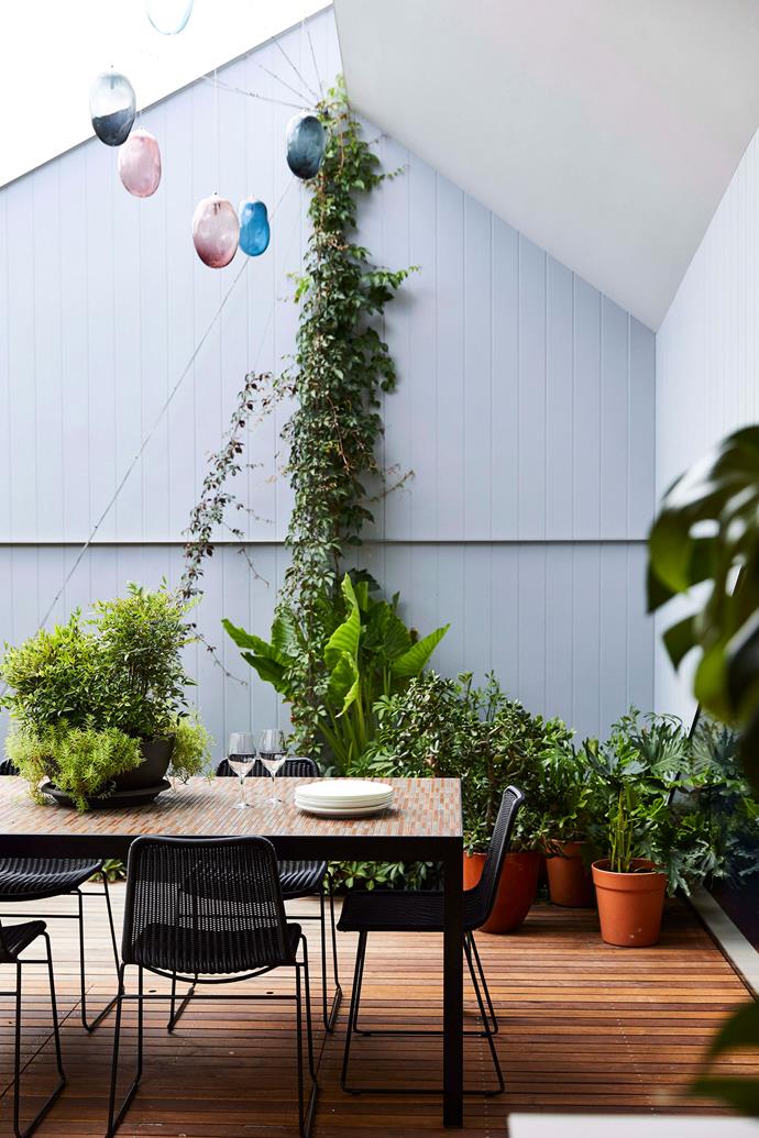 Protect pot plants from frost by placing them close to  the building, on a verandah or an enclosed courtyard, for example.