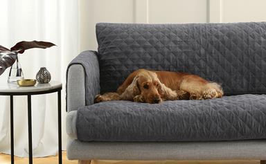 Aldi release a pet couch protector to rival Kmart