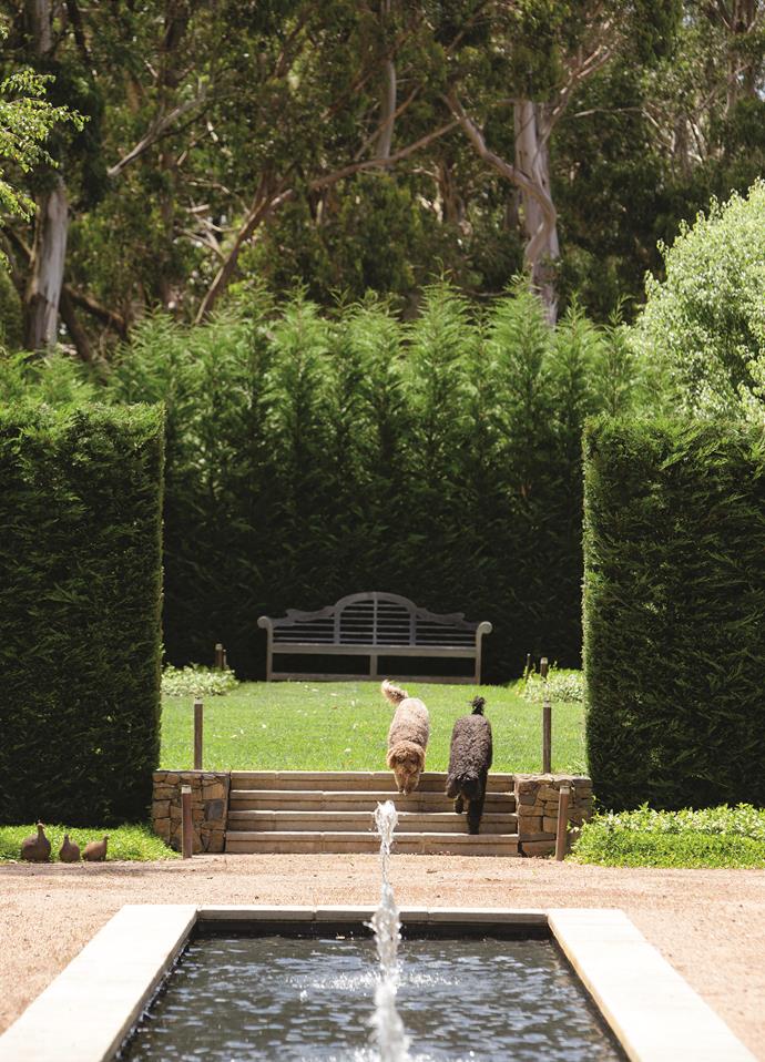 Tall walls of Leighton green cypress (Cupressus x leylandii) are used extensively to frame various rooms within the garden.