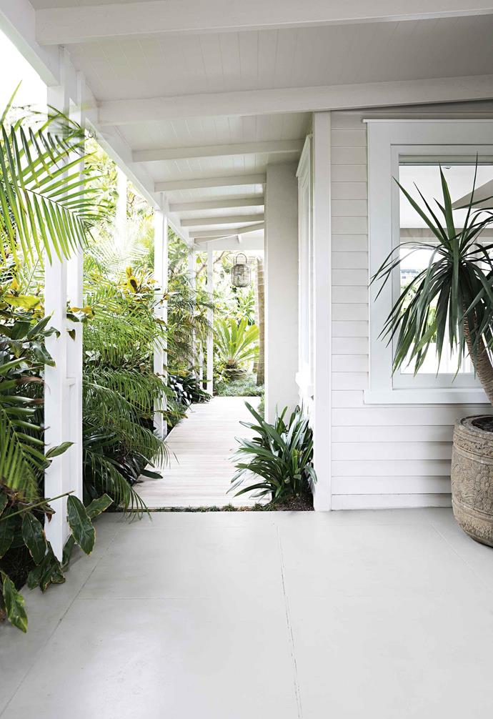 An array of lush plants set against a white weatherboard backdrop create a relaxed tropical entry.
<br>
*Styling: LeeAnn Yare | Photography: Larnie Nicolson*.